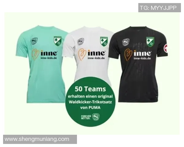 德国足球甲级联赛发展历程及未来趋势分析:聚焦球队竞争与市场影响力